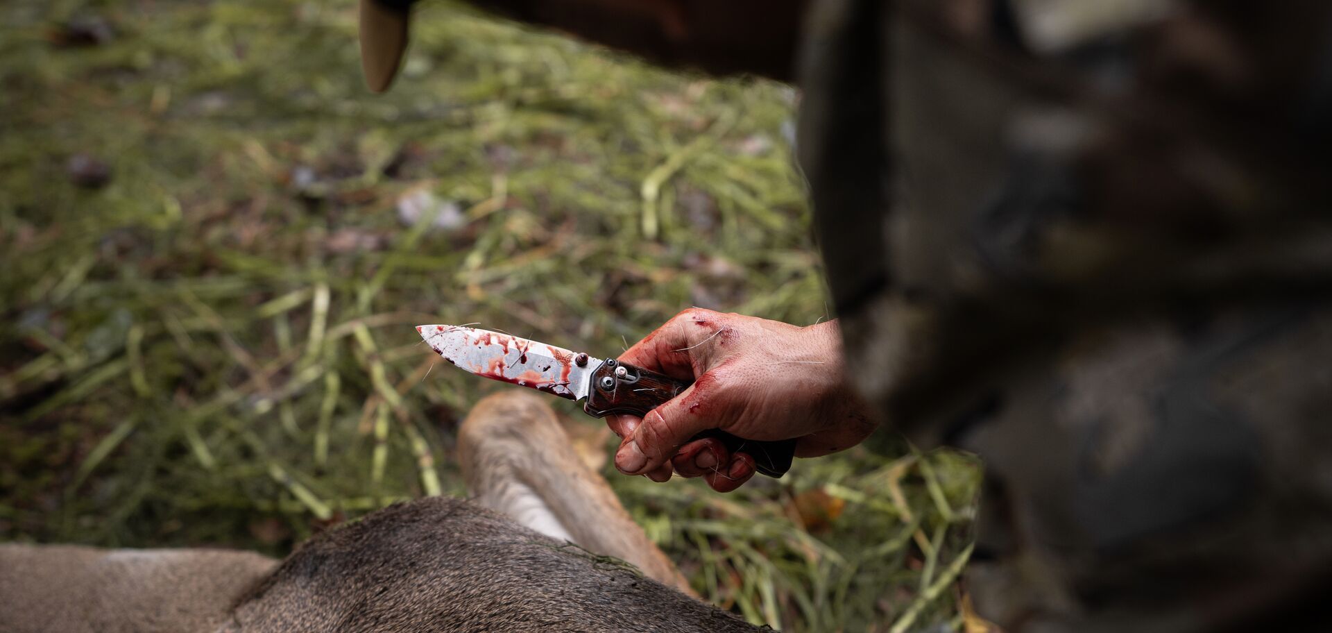 Close-up of knife in hunter
