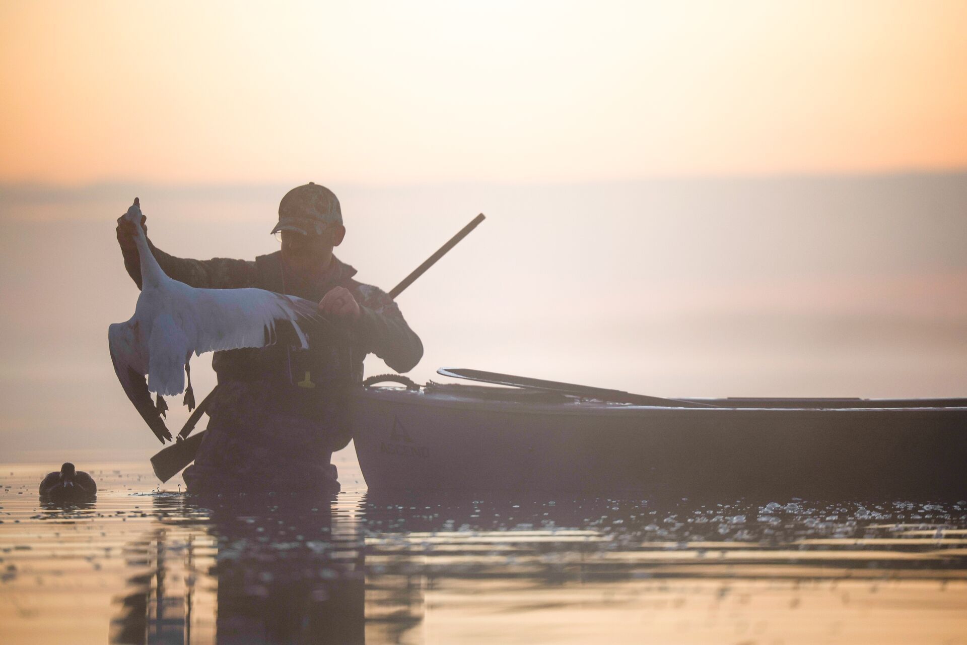 Hunter in water near canoe retrieves waterfowl during hunt.