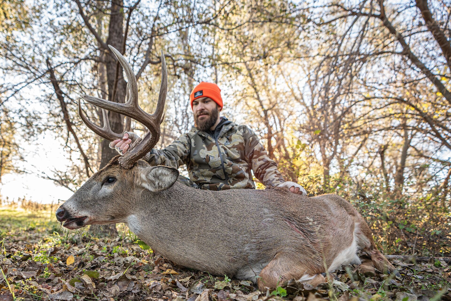 Hunter in orange cap with buck after hunt.