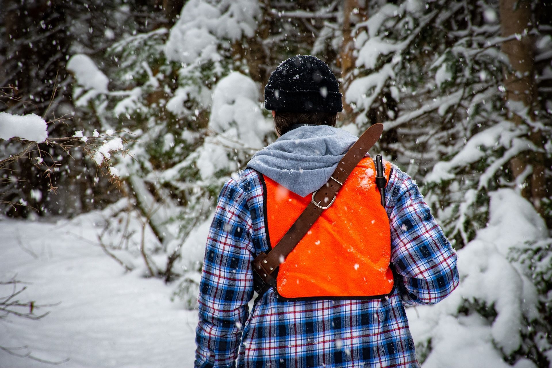 Back view of a hunter in blaze orange with rifle walking in snowfall.