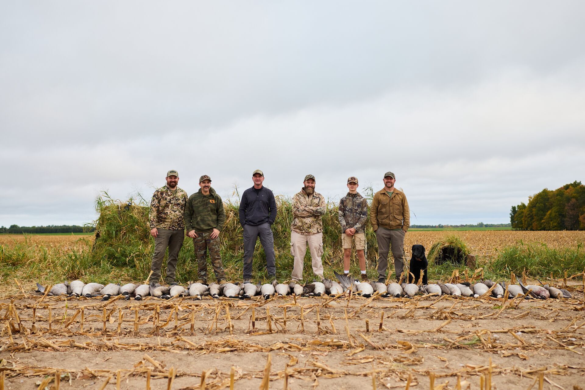 Group of hunters with a lot of geese after hunt, best times for waterfowl hunting concept.