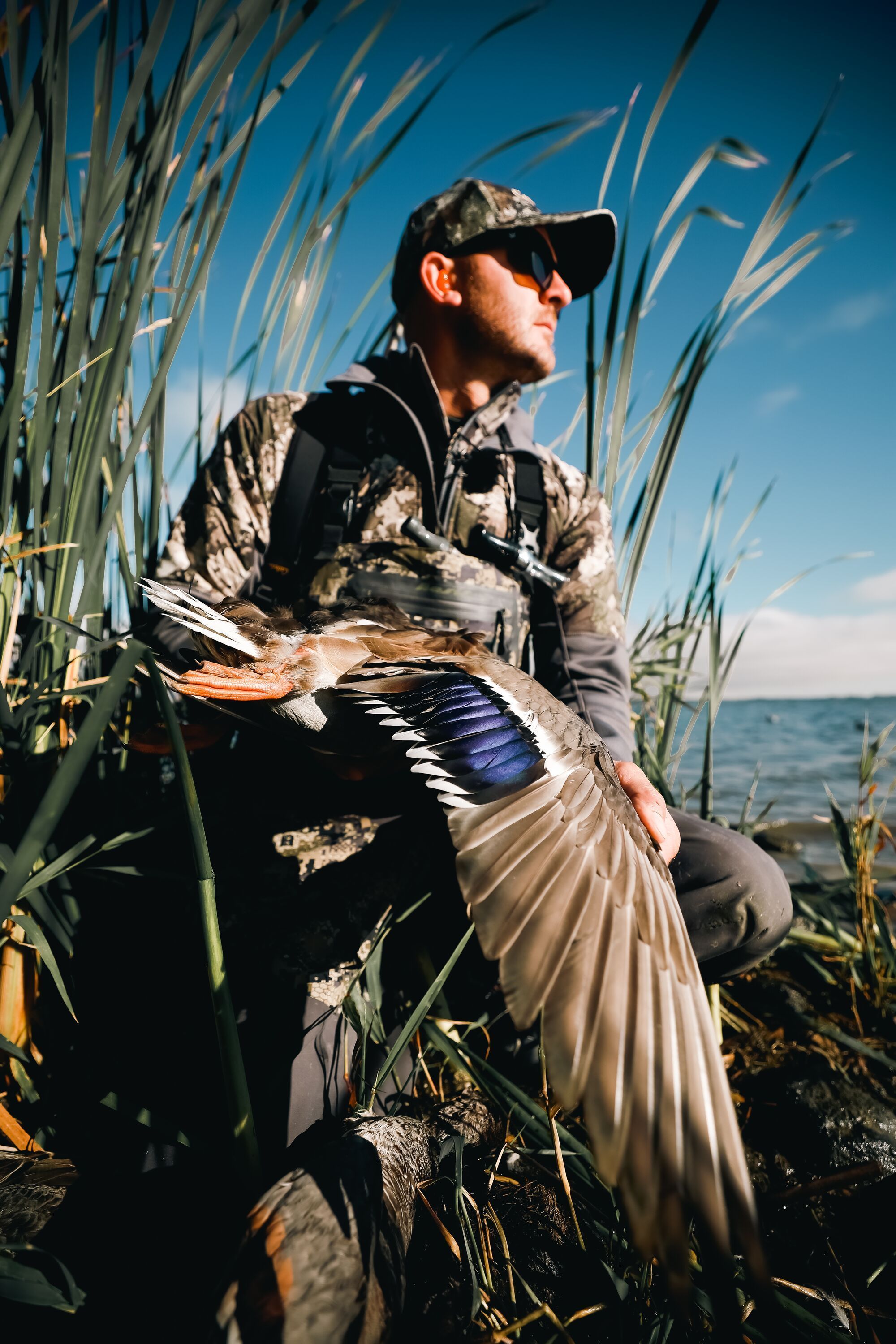 Hunter in reeds showing duck wing after hunt, WPA hunting rules concept.