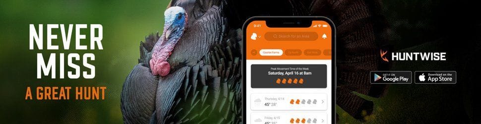 Never miss a great hunt ad for HuntWise, turkey hunting concept.