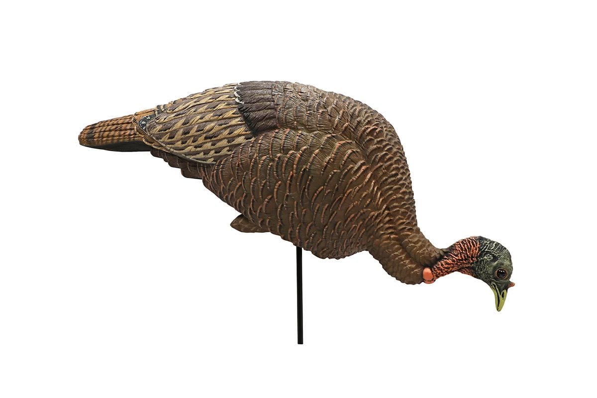 FGBLOG mojo_feeder_breeder_hen_2.jpg
