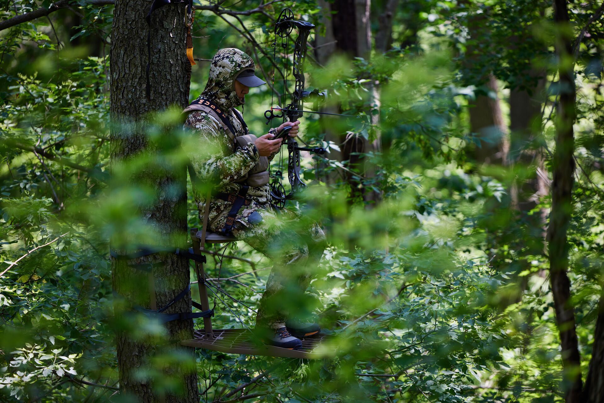 A hunter in a tree stand looking at his phone, use the HuntWise app for a successful deer hunt concept.