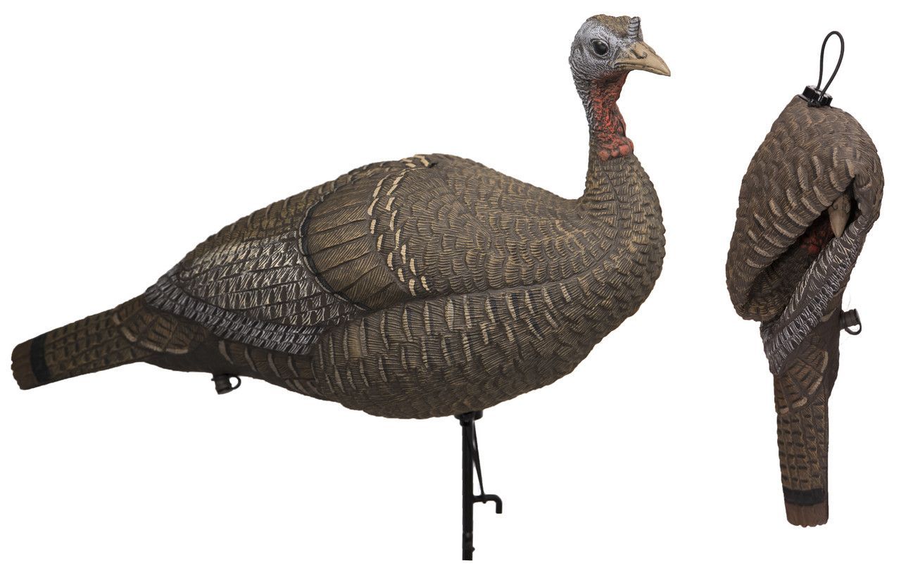 FGBLOG Collapsible_Hen_Turkey__53414.jpg