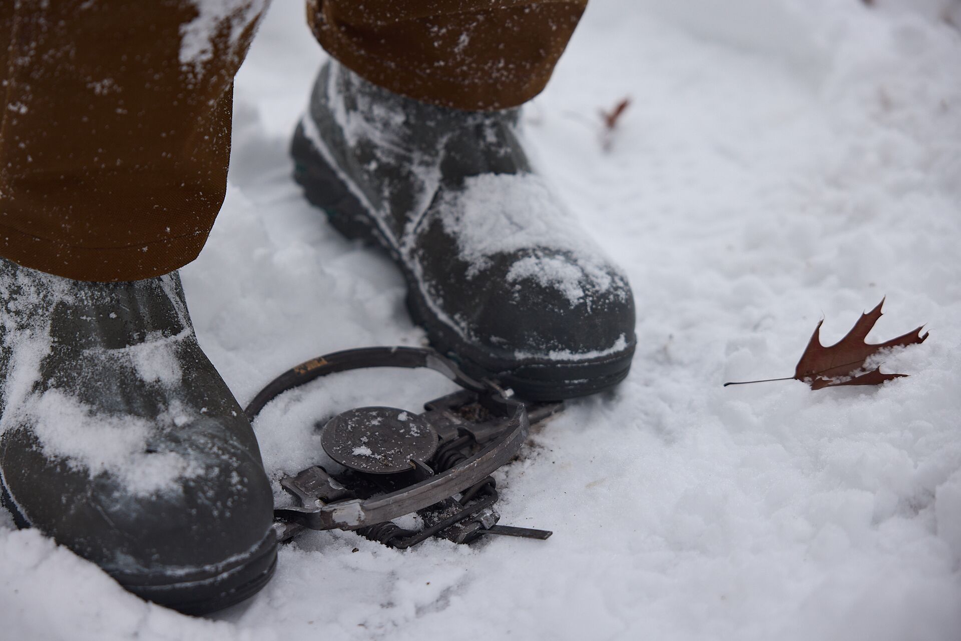 Close-up of boots standing on trap to set it in the snow.