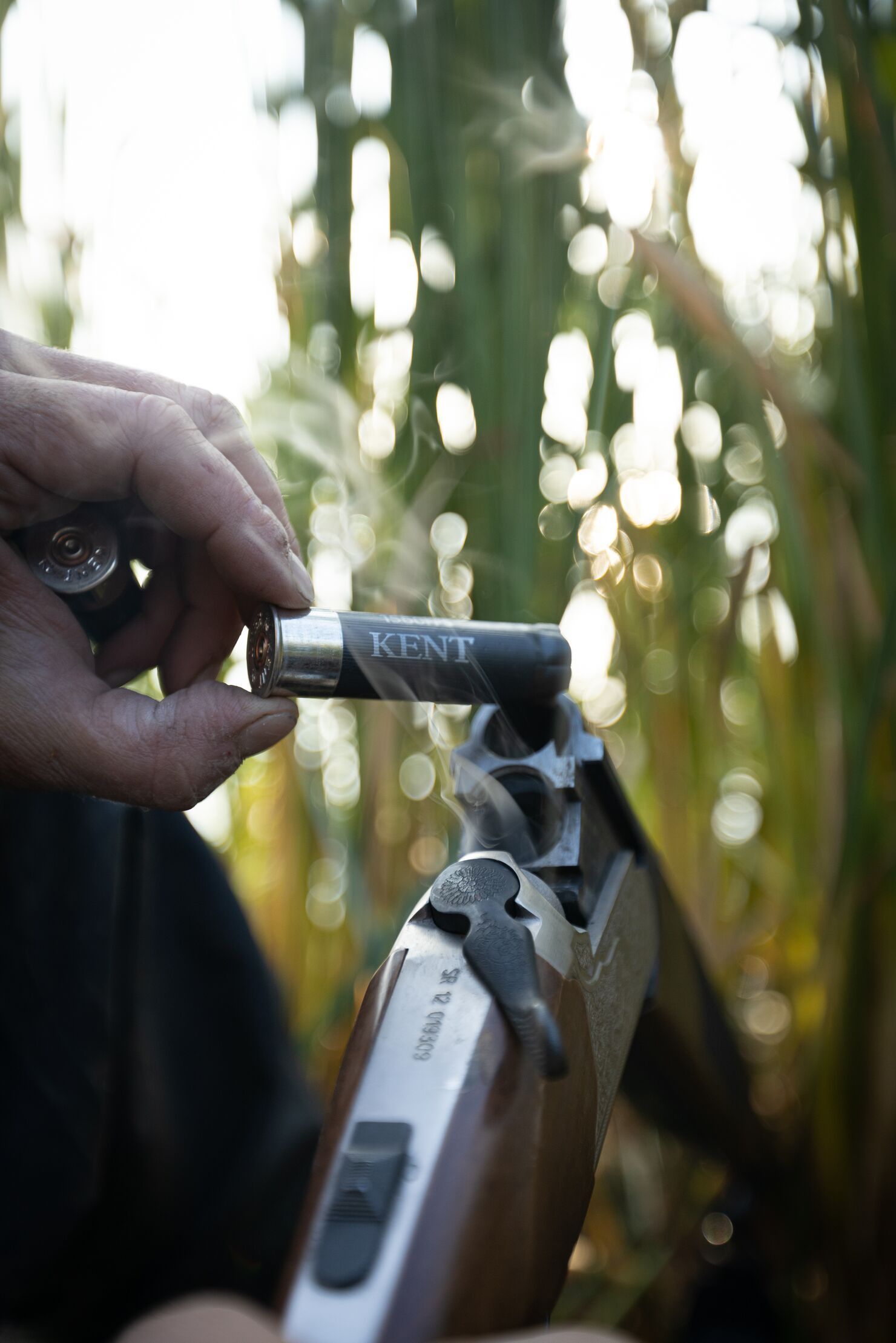 A shotgun for hunting ducks and geese.