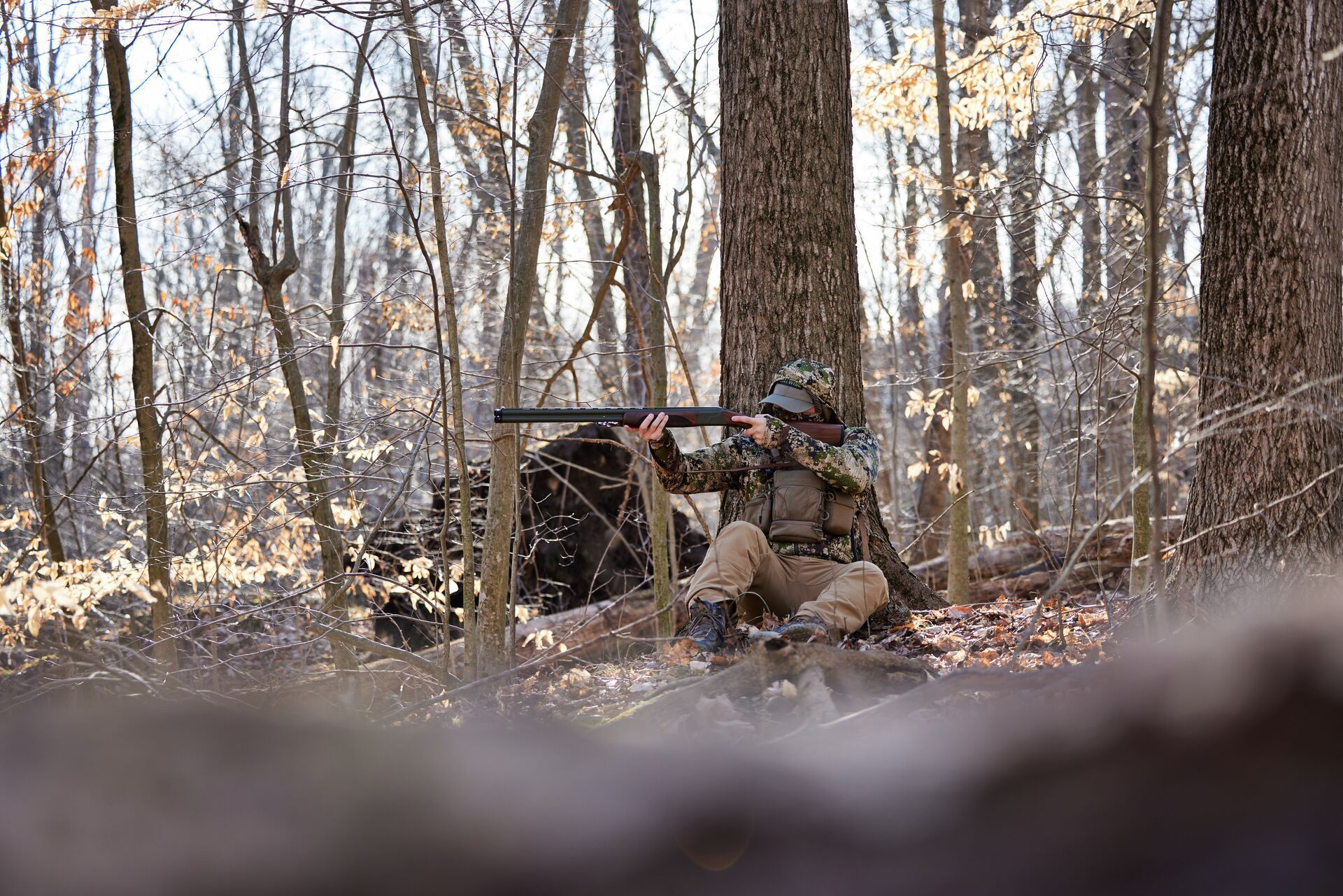 Turkey hunter aims shotgun from hiding spot in woods, early season turkey hunting tips concept.