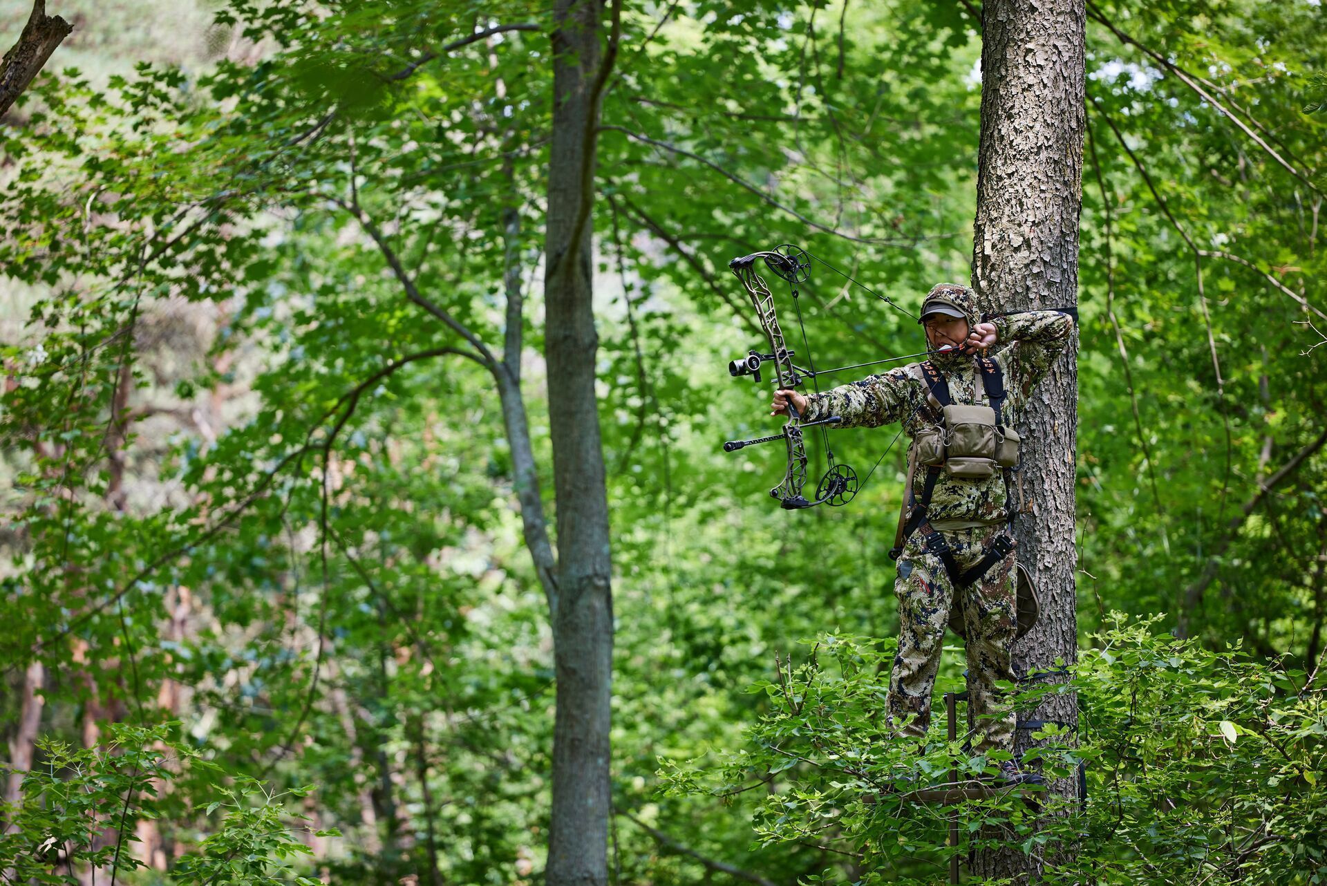 A hunter in a tree stand draws a bow, draw weight concept.