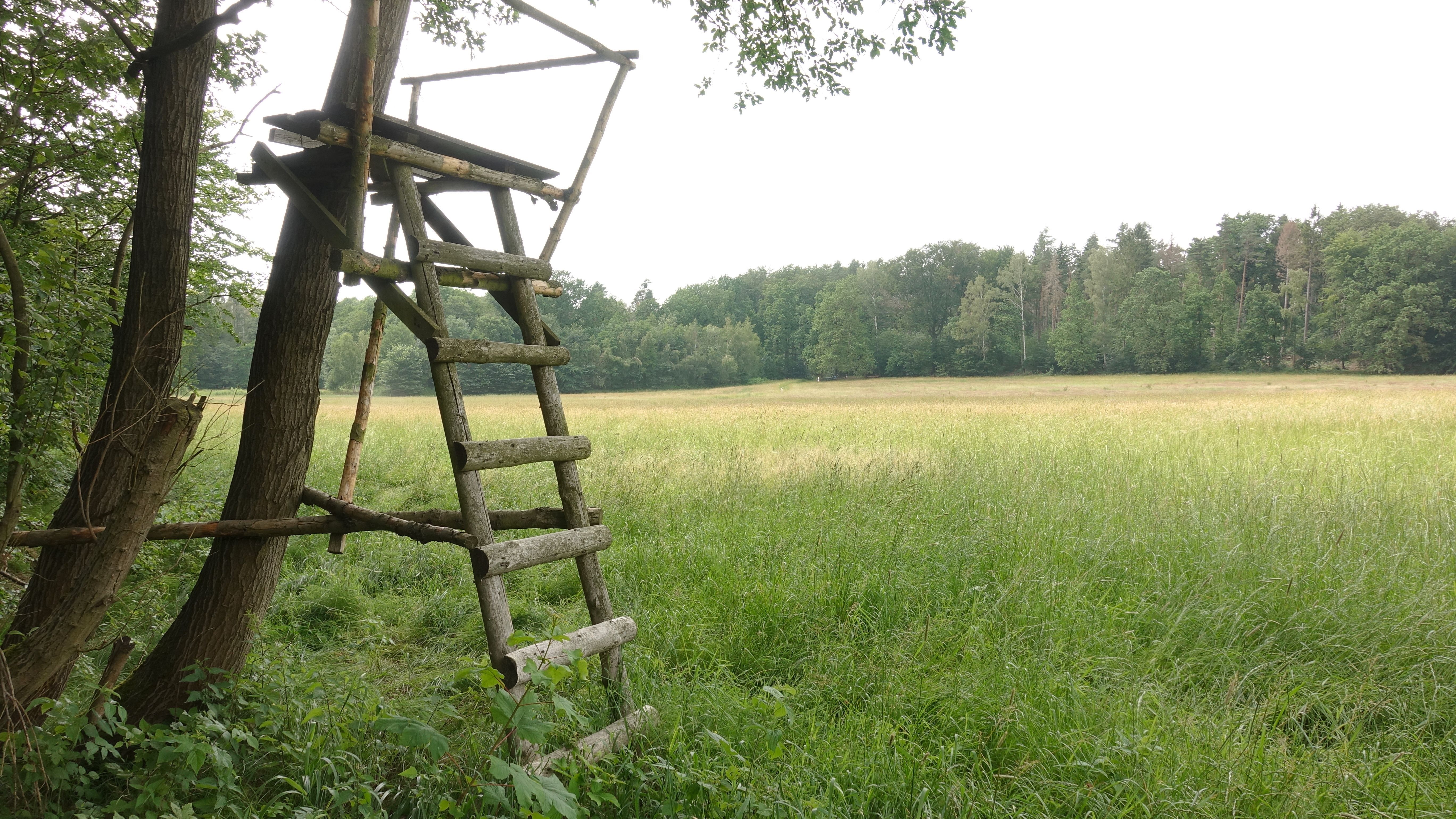 Ladder stand made of wood at the edge of a field.