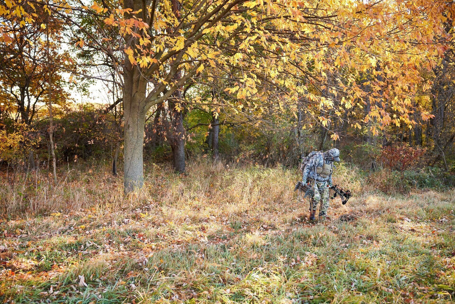 Hunter looking down at the ground searching for deer scrapes.