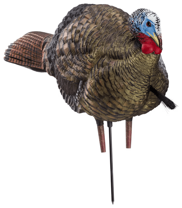 Avian-X LCD 1/2 Strut Jake Turkey Decoy, best turkey decoys concept.