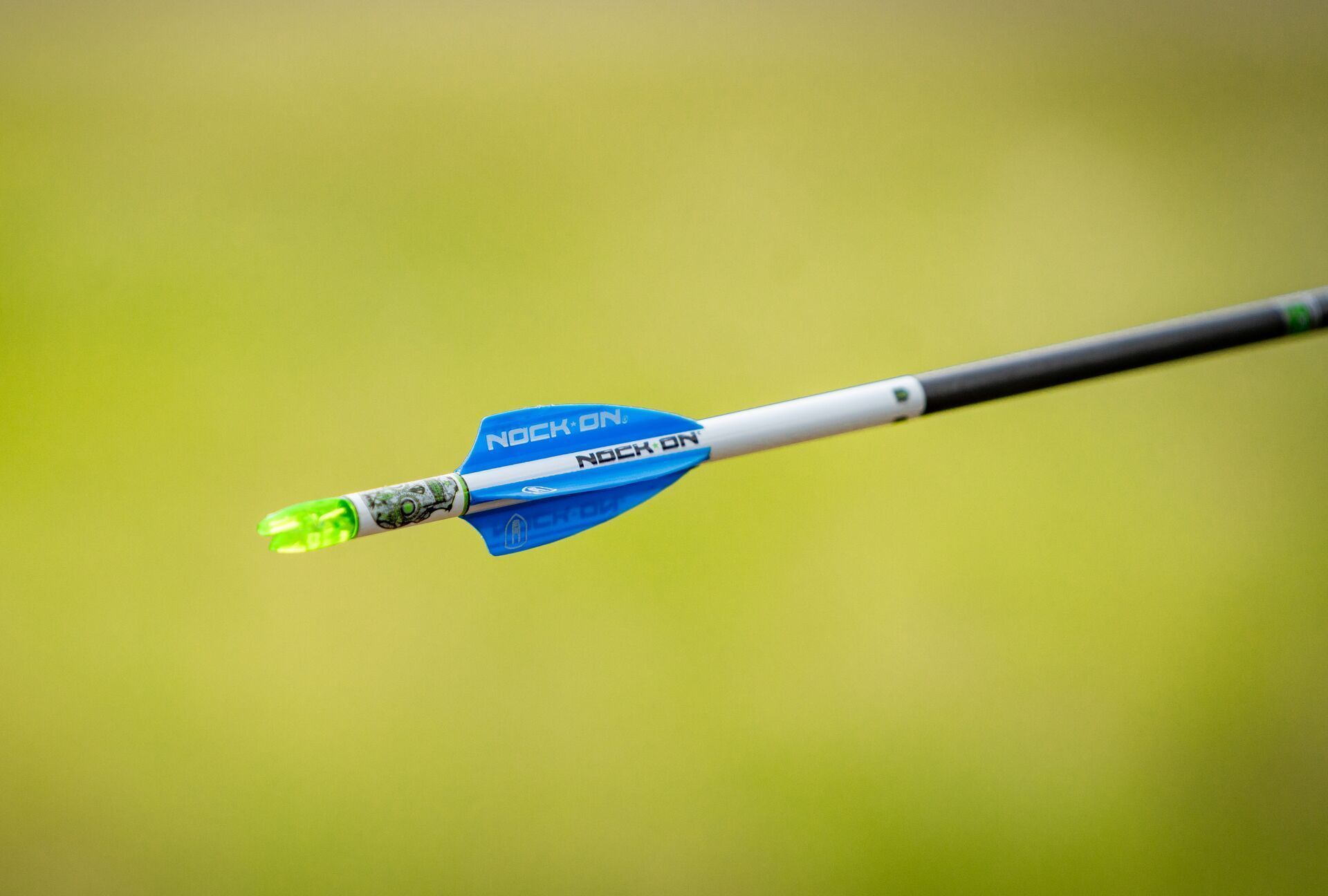 Close-up of an arrow