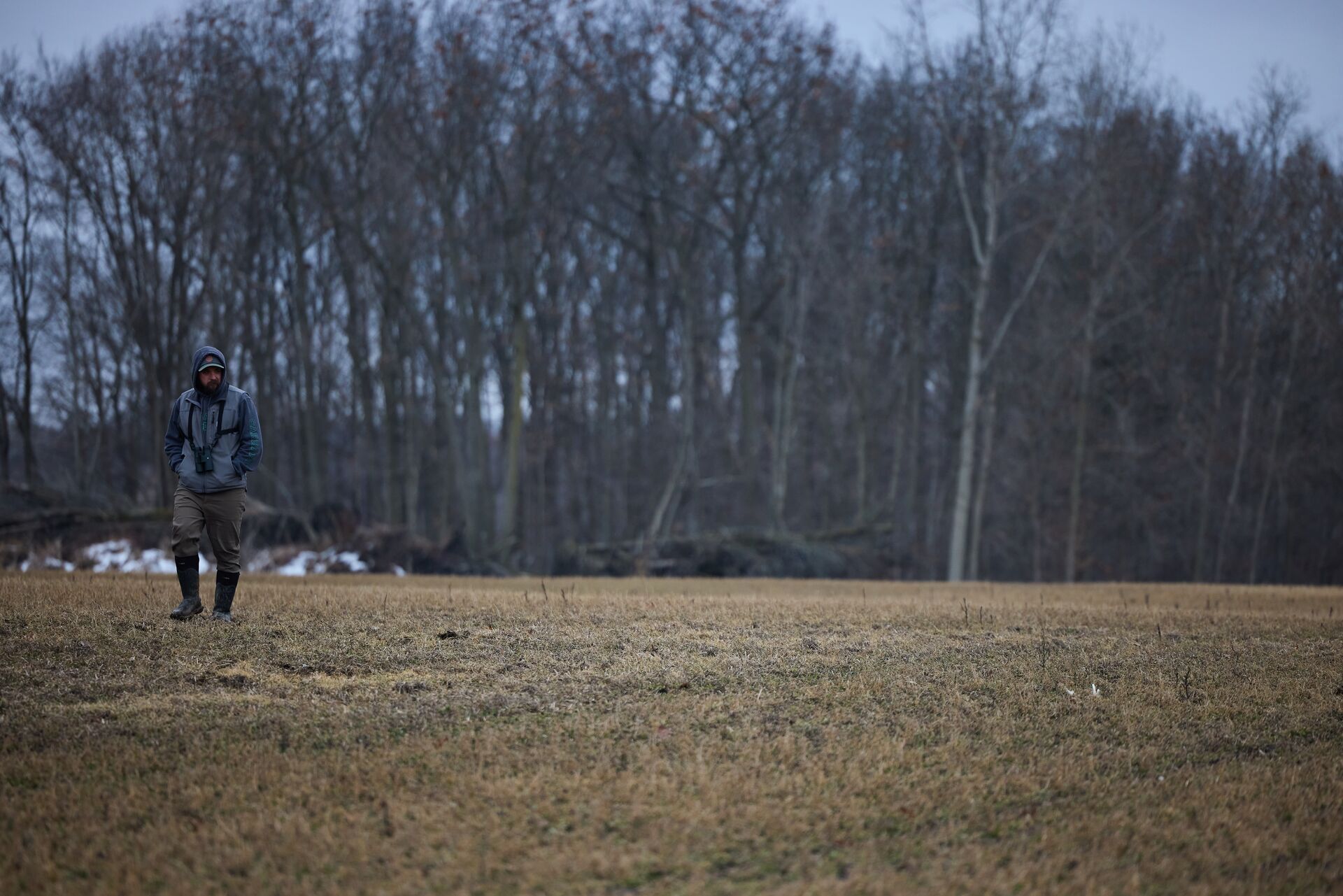 Hunter walks toward shed antler in a field, how to find deer sheds concept.