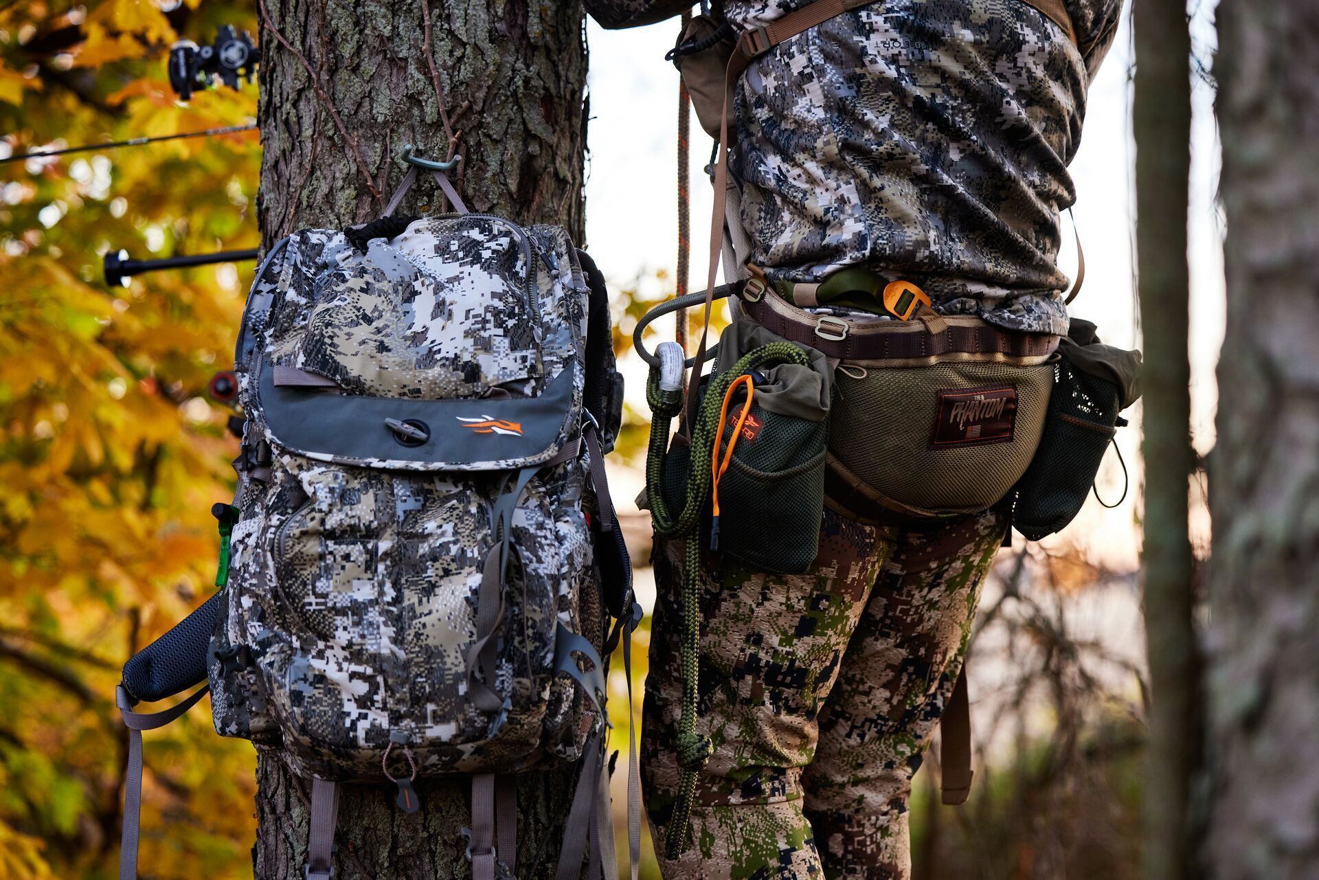 Hunter with gear up in a tree.
