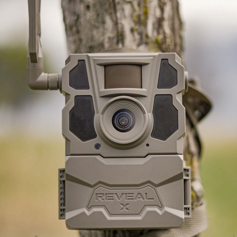 Close-up of a trail cam strapped to a tree.