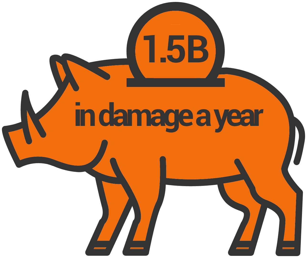 A graphic of a wild hog piggy bank showing $1.5 billion in damage annually, hog hunting concept.