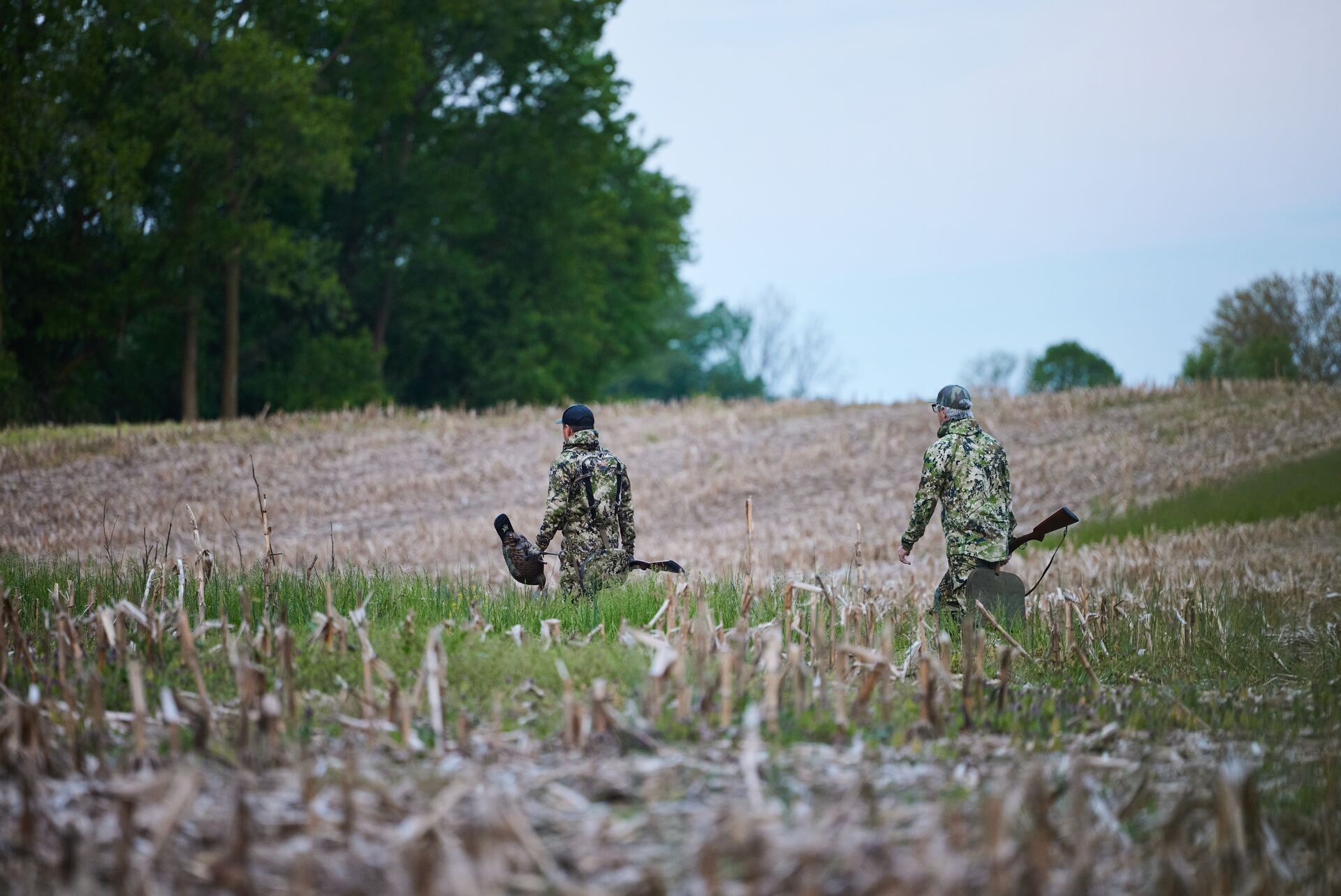 Hunters walking in a field with a turkey decoy.