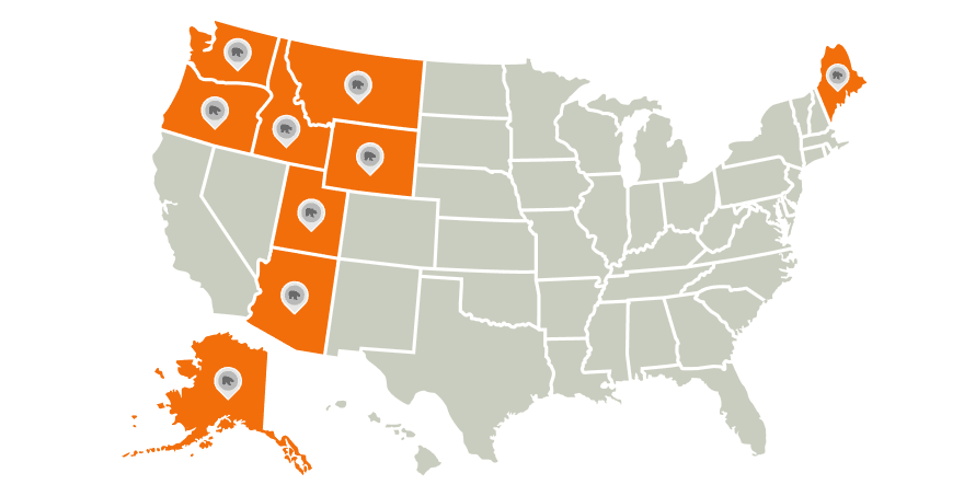 A U.S. map illustration showing the best states for bear hunts.