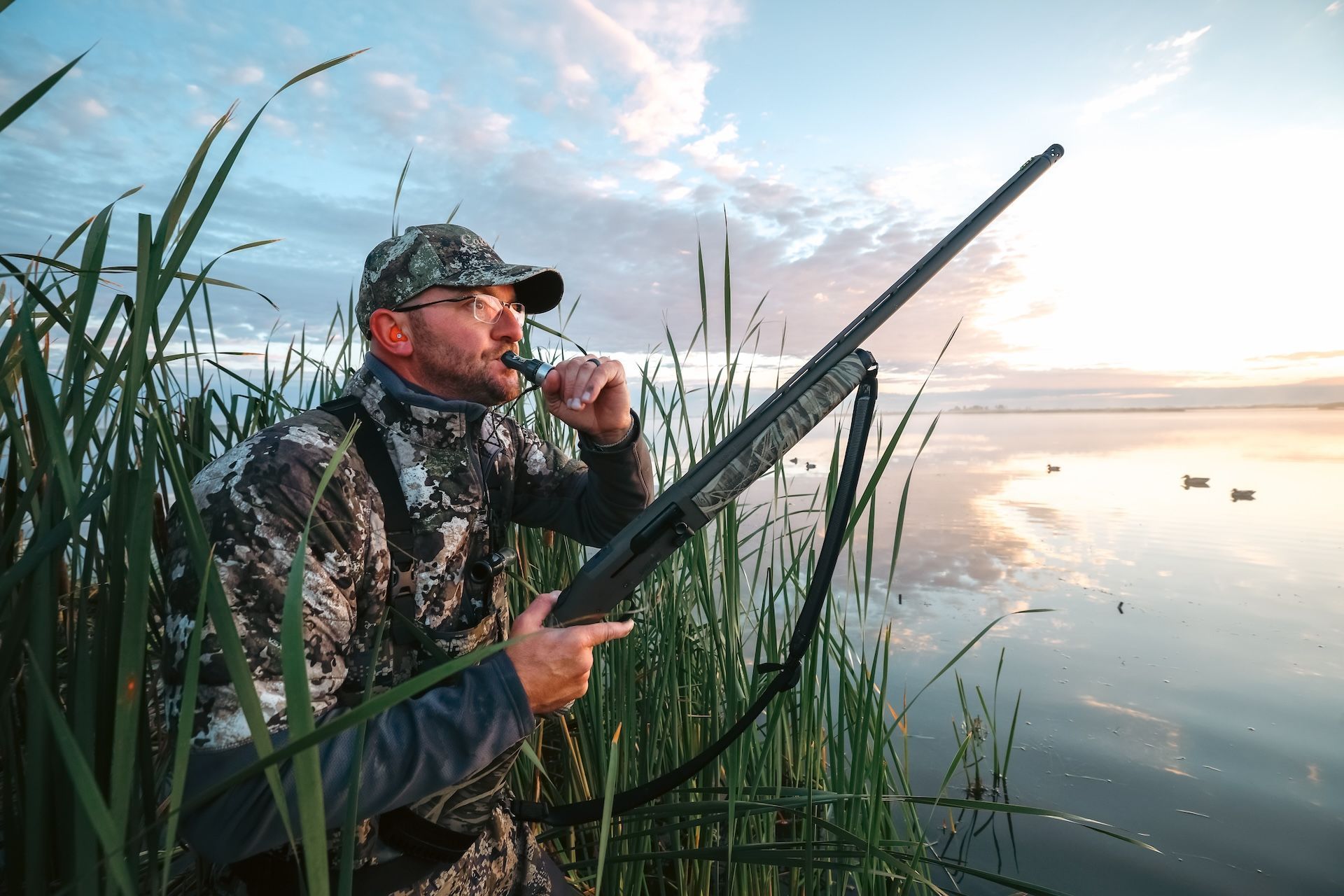 Hunter uses duck call while wearing camo with shotgun, Maryland duck hunting season concept.