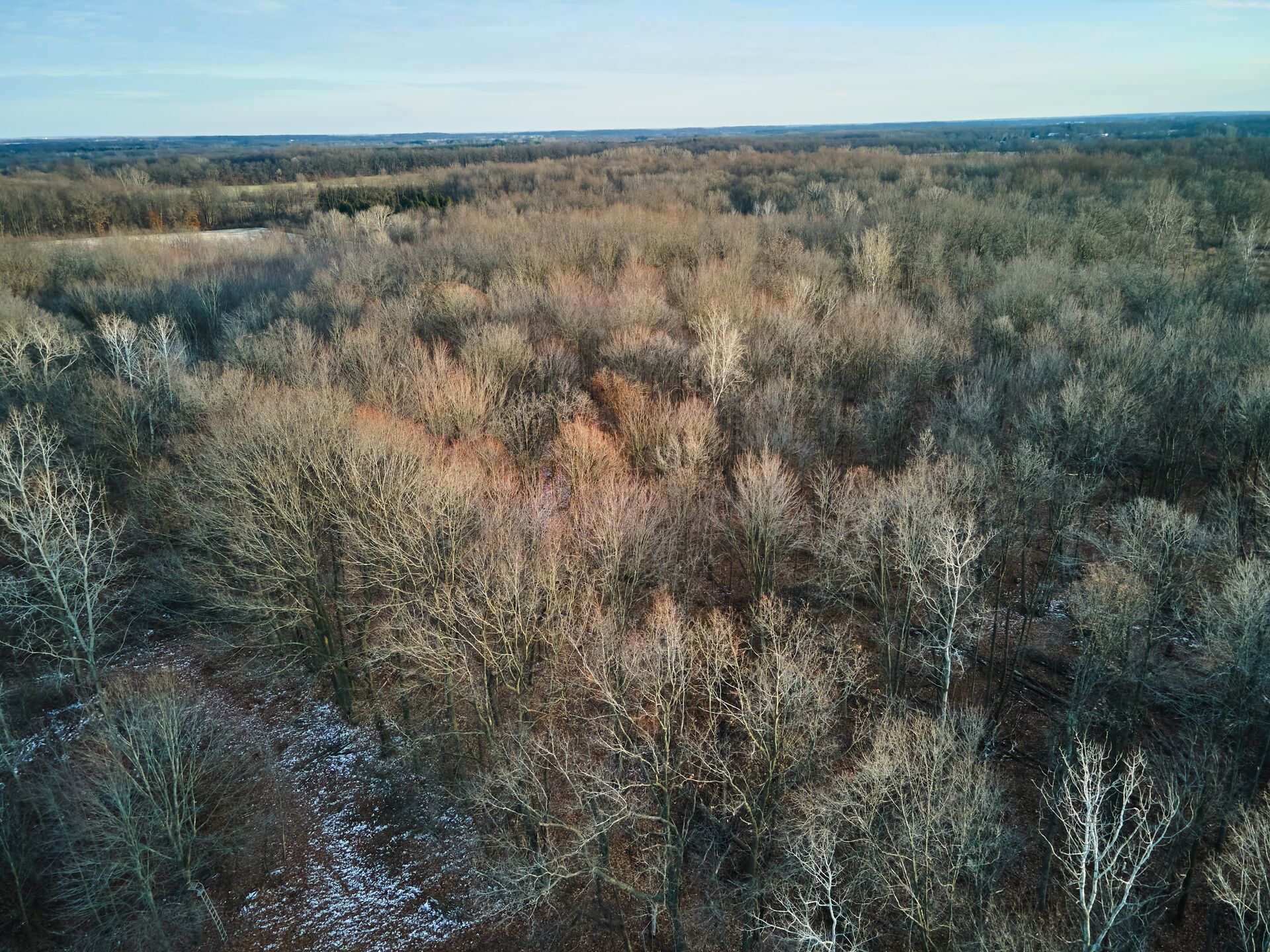 Overhead view of land late season, Wildlife Management Area hunting concept.
