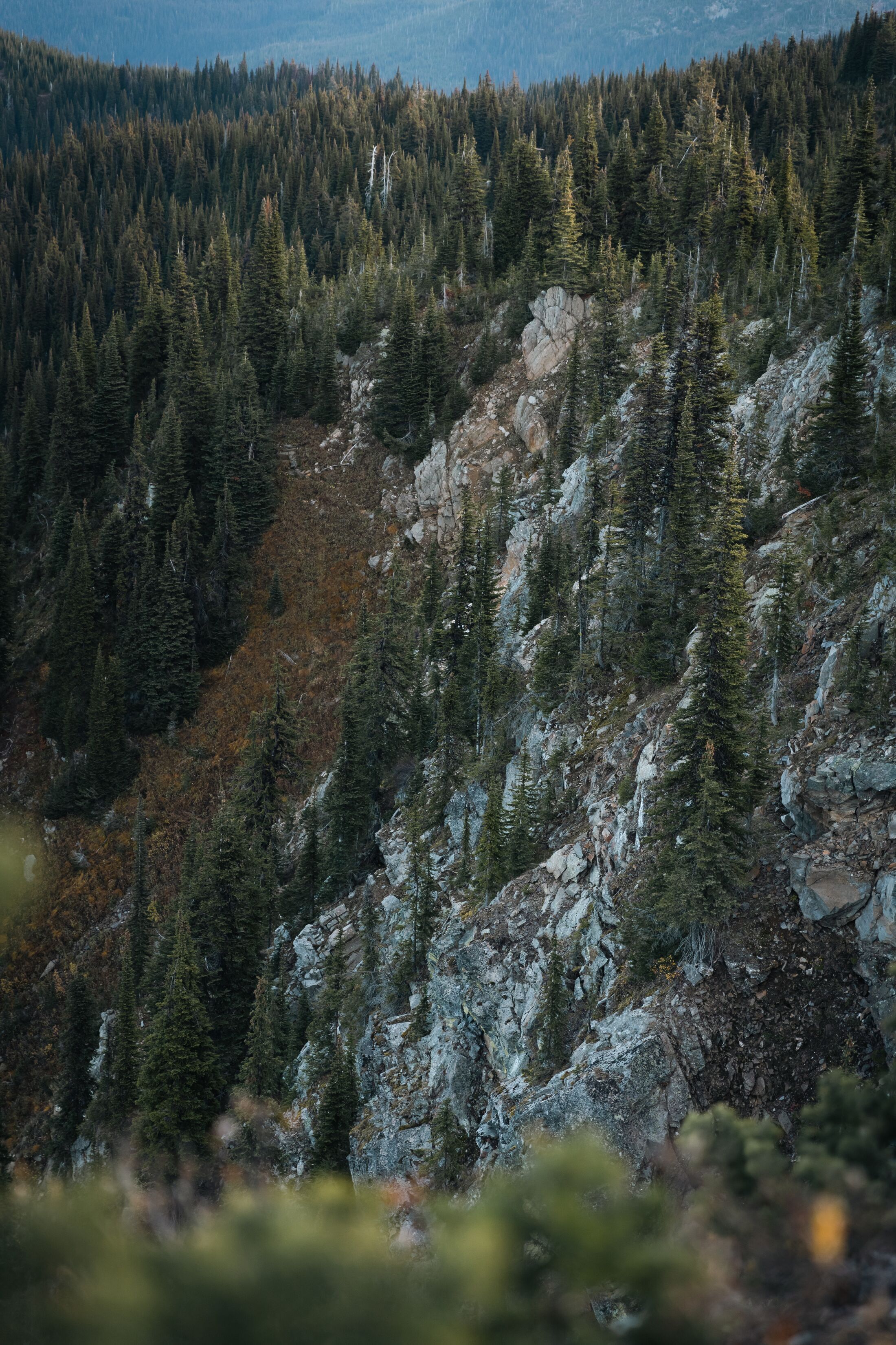 Wide view of rugged terrain for hunting, brown bear hunting season concept.