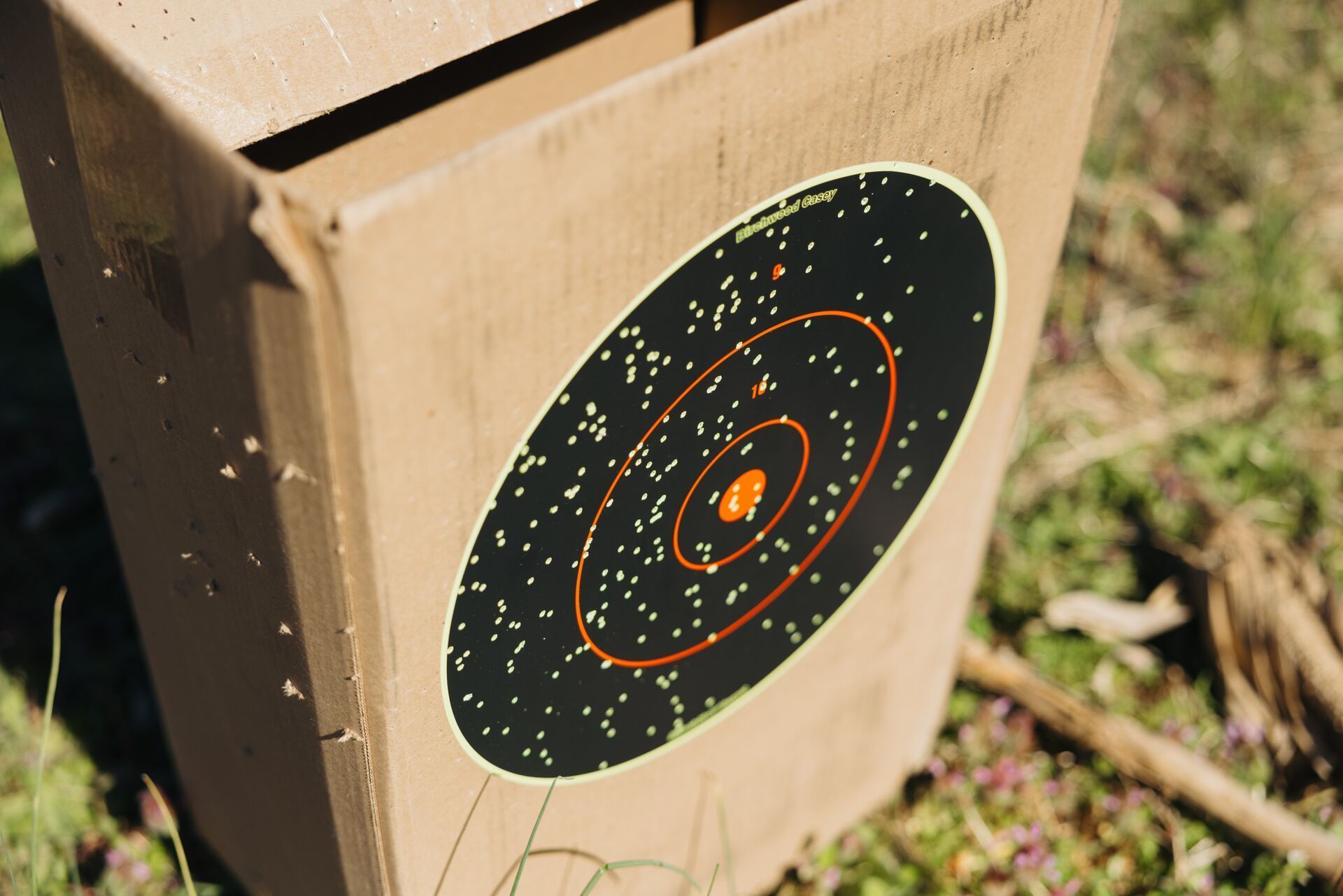 A target showing shotgun patterning after a shot.