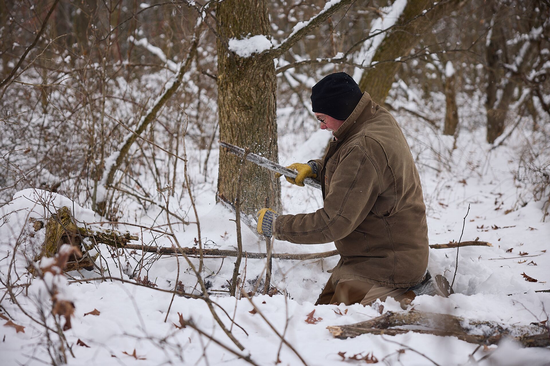 Man setting a live animal trap in the snow, Missouri trapping guide concept.