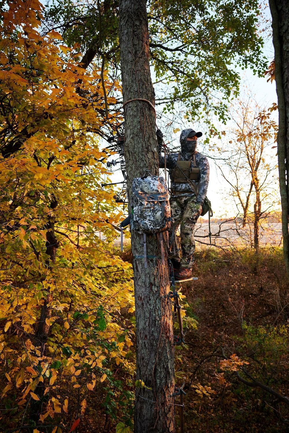 Hunter in a tree for a hunt, best hunting saddles concept.