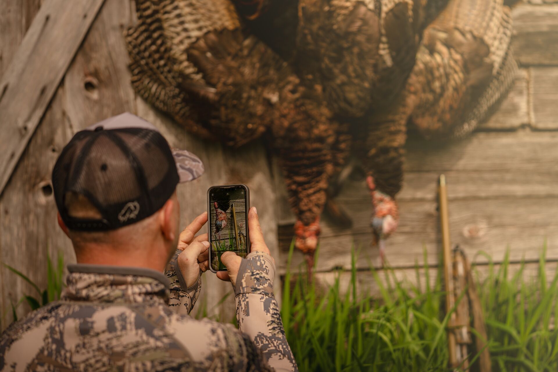 A hunter takes a photo of turkeys hung up after a hunt, spring turkey hunting concept.