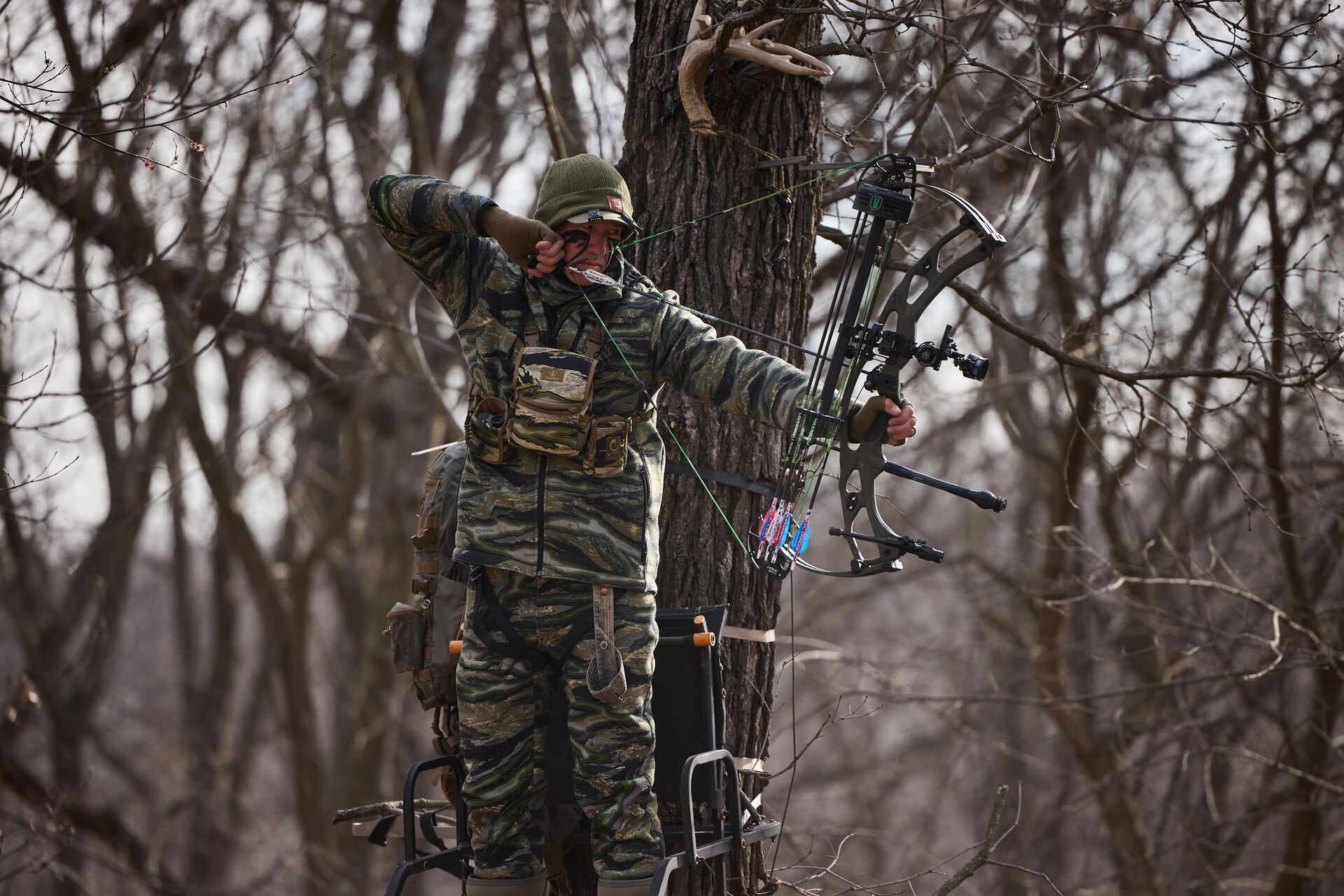 A hunter John Dudley draws a bow in a tree stand.