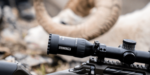 Close-up of a rifle scope with a bighorn sheep lying in the background.