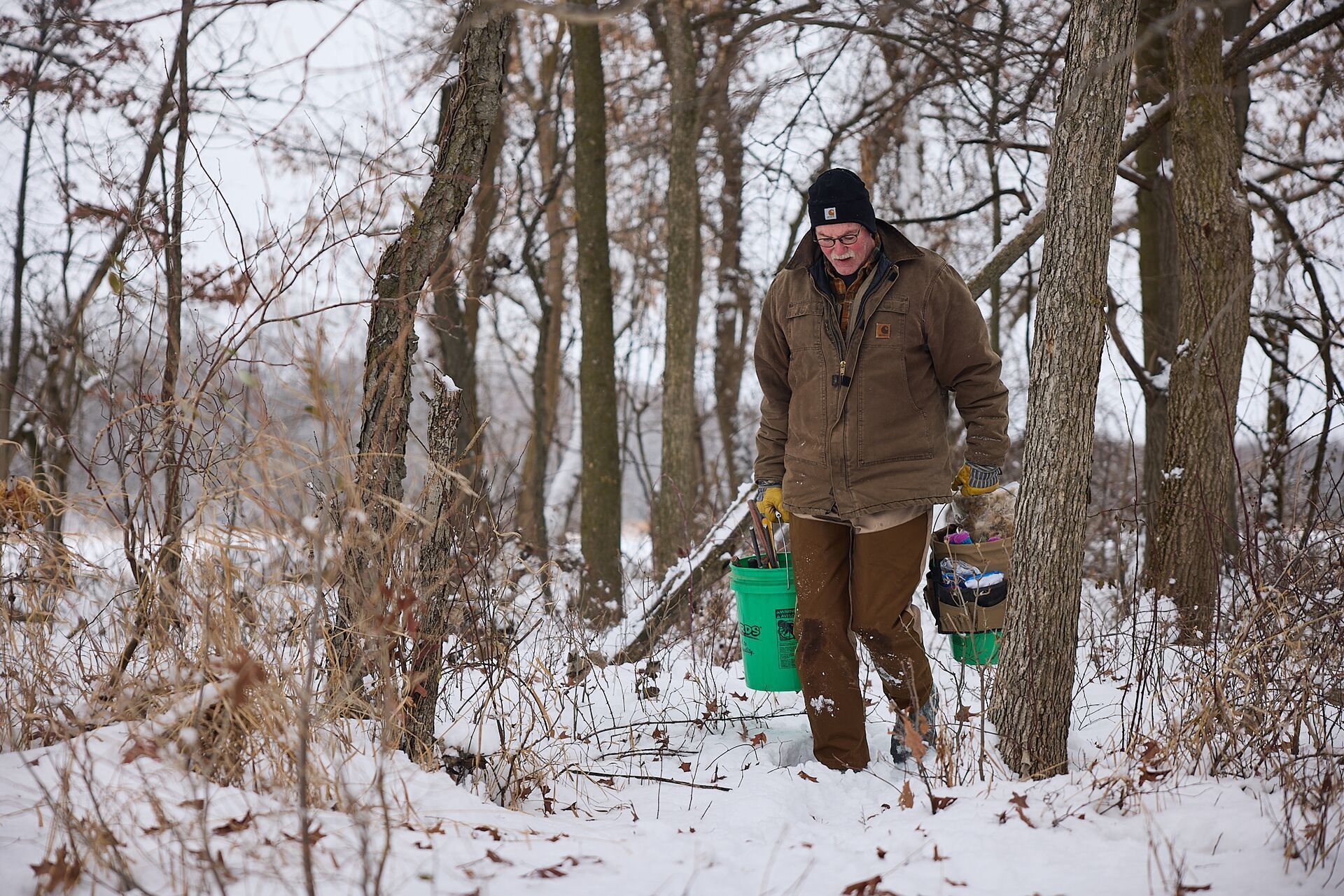 Man carrying animal trapping equipment in the woods.