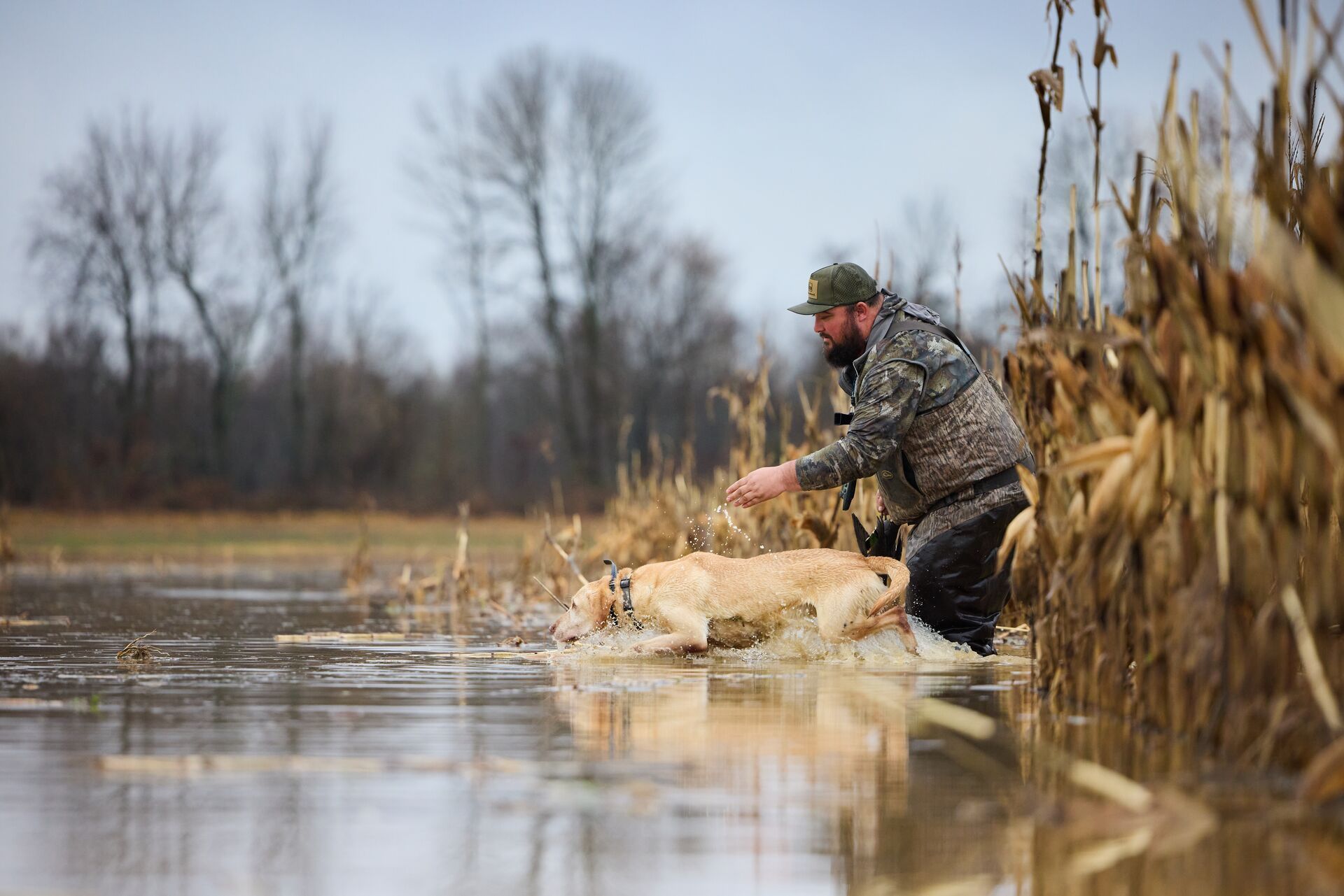 A hunter releases a dog to retrieve a duck during a hunt.
