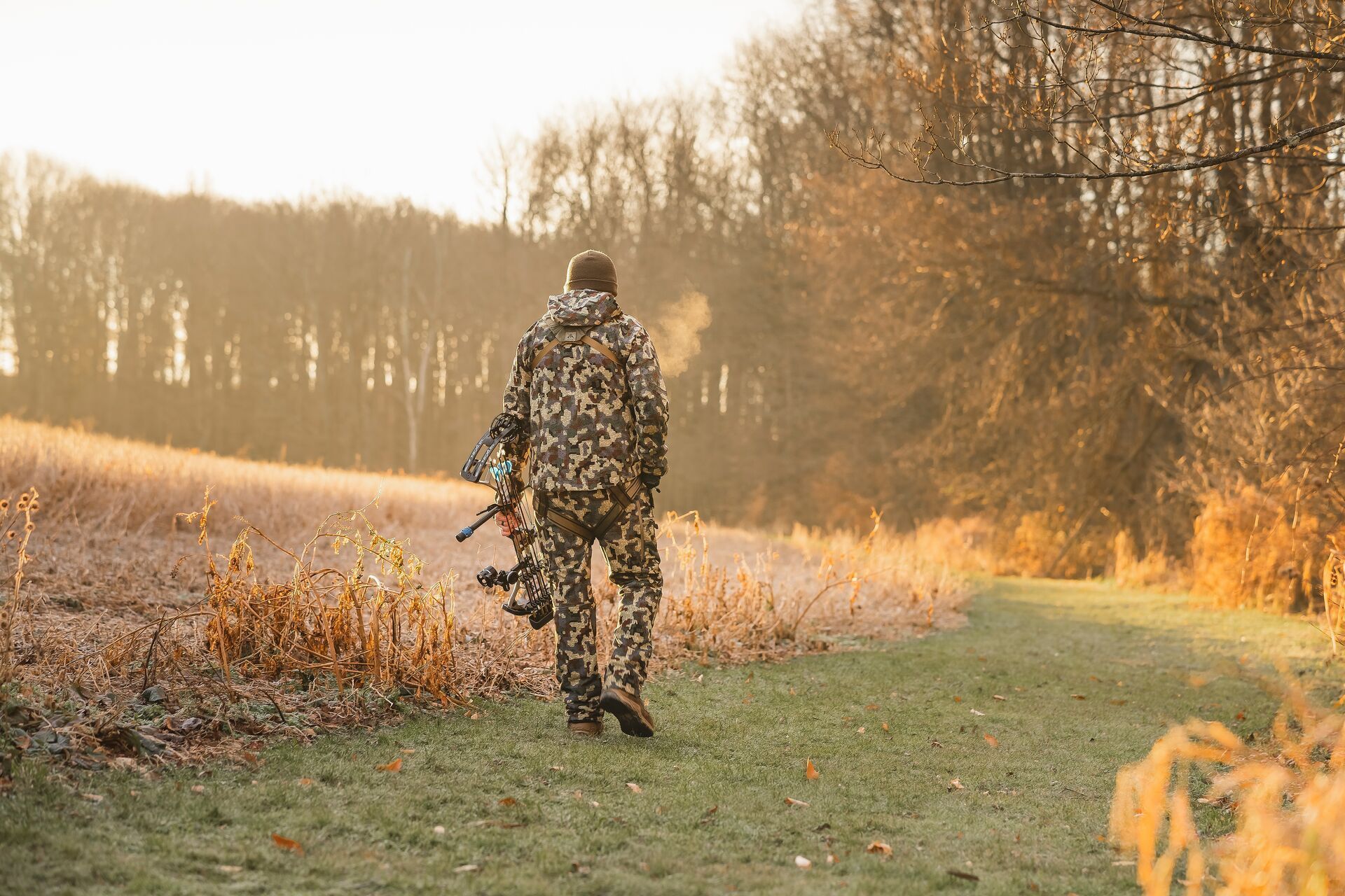 A hunter in camo with a bow walks near woods, why hunting is good for the environment concept.
