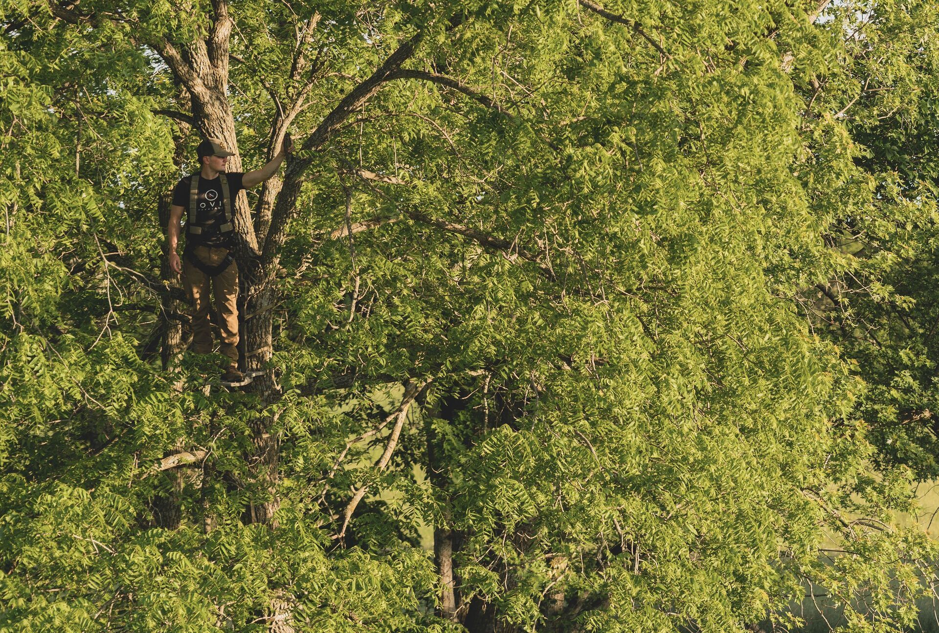 A hunter high in a tree stand.