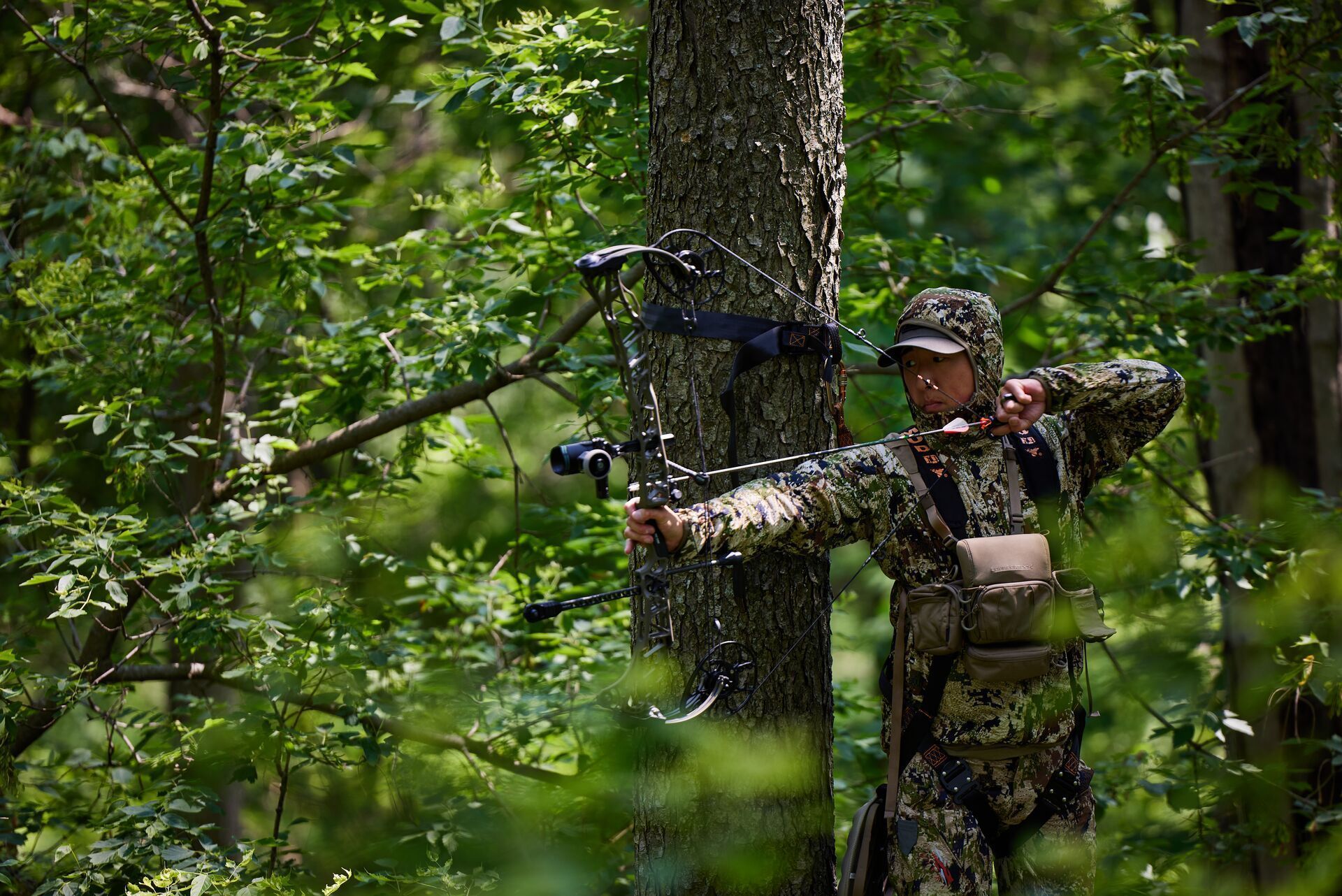 Hunter in tree stand draws bow, scent control deer hunting concept.