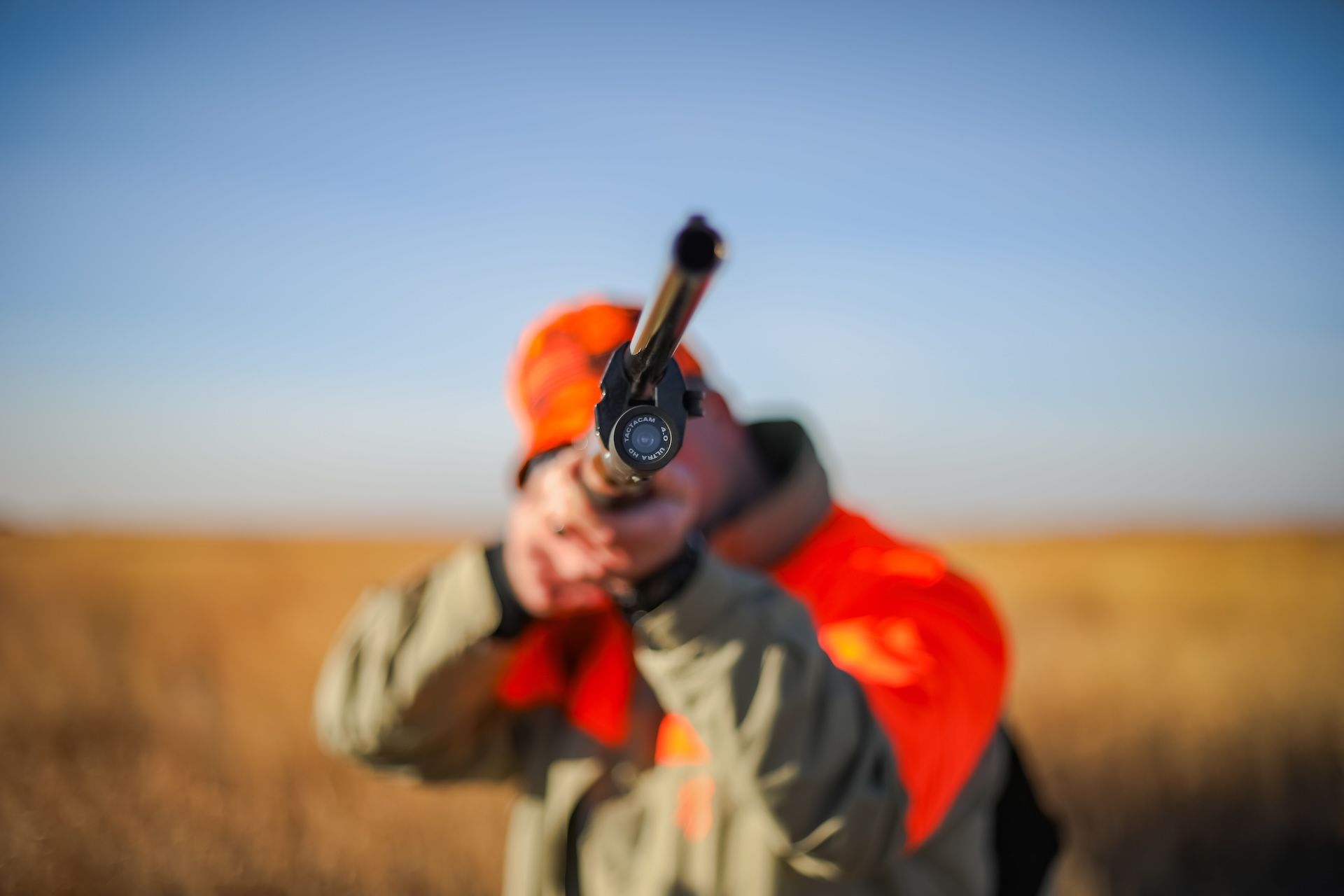 Hunter in blaze orange aims shotgun, pheasant hunting concept.