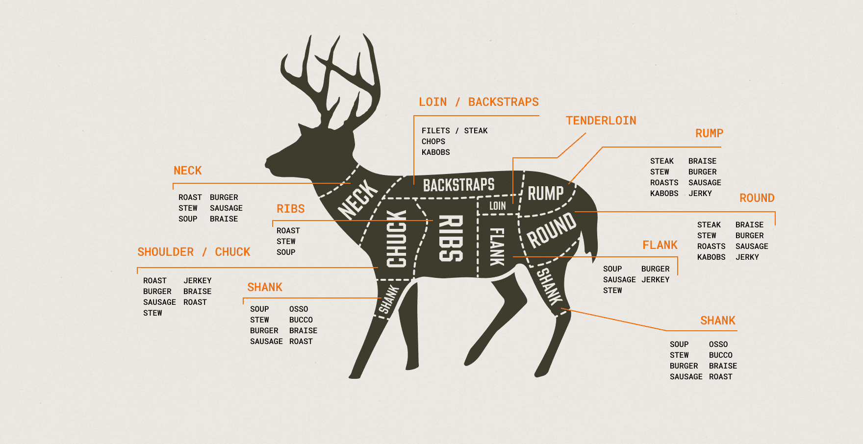 An infographic showing venison meat cuts, how to process a deer concept.