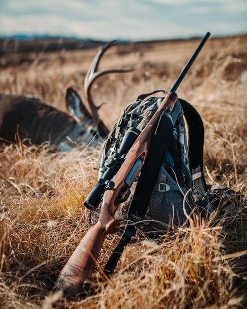 Rifle leans against backpack with downed deer nearby after hunt.