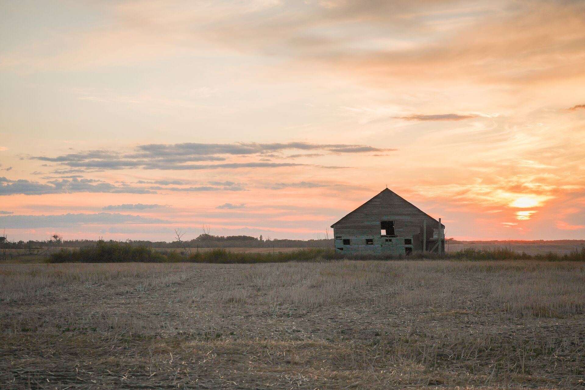 An old barn in a field, what is the hunters role in wildlife conservation concept.