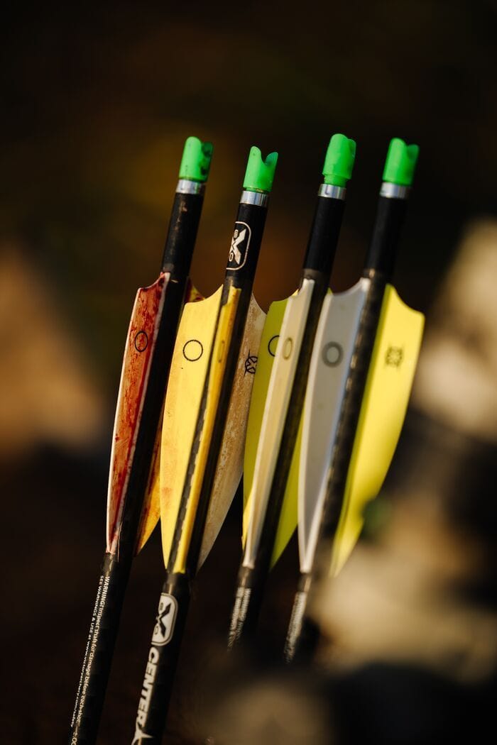 A group of arrow fletchings, hog hunting gear concept.