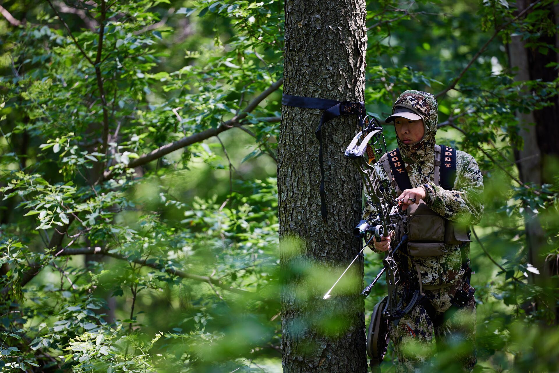 A hunter watches from a tree stand with a bow, Oklahoma deer hunting concept.