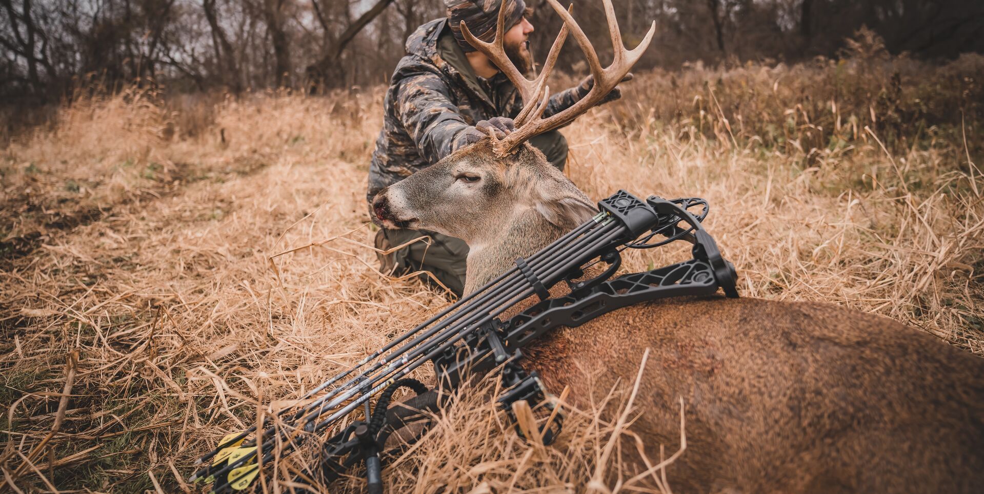 Hunter with buck deer and bow after hunt, bow hunting season concept.