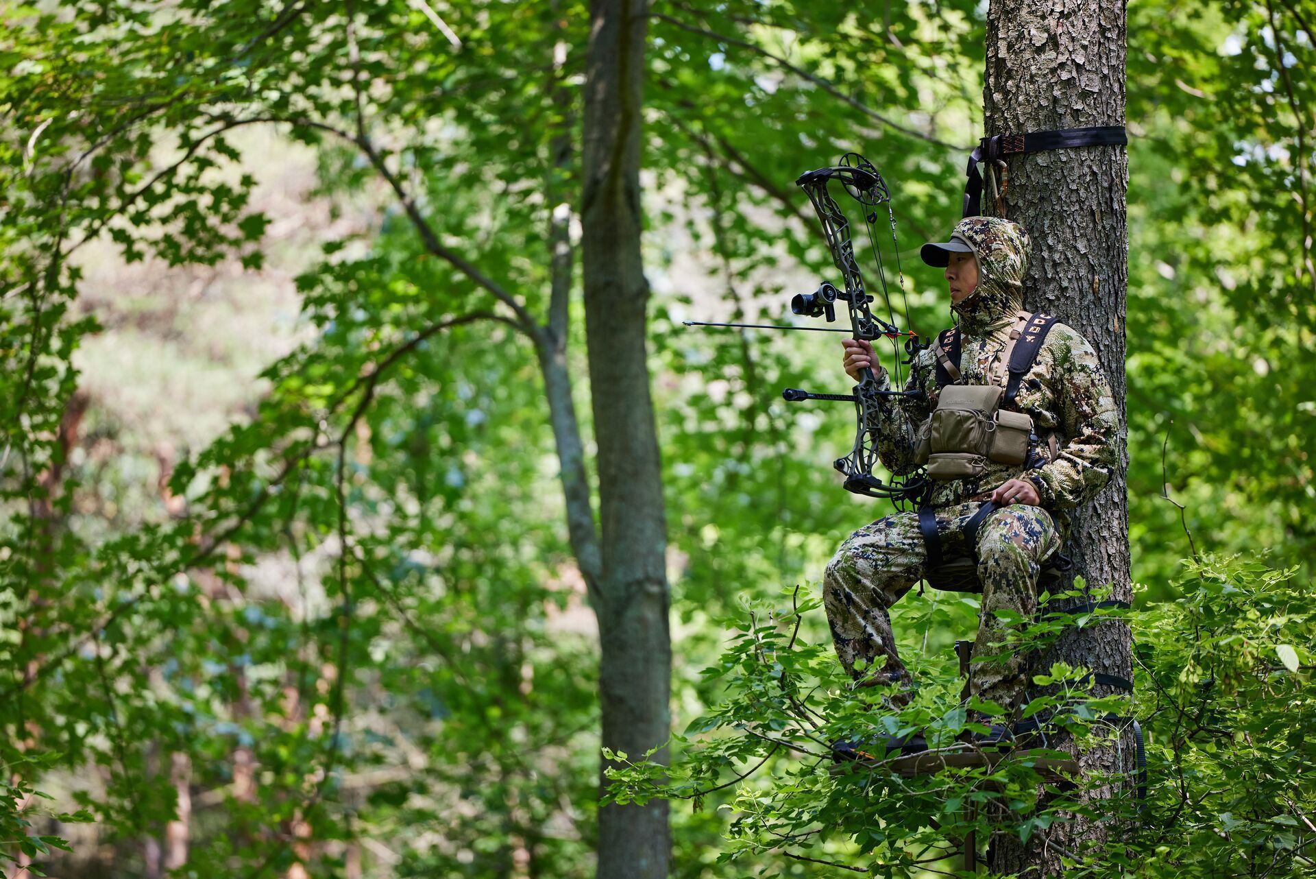 A hunter with a bow sits in a tree stand.
