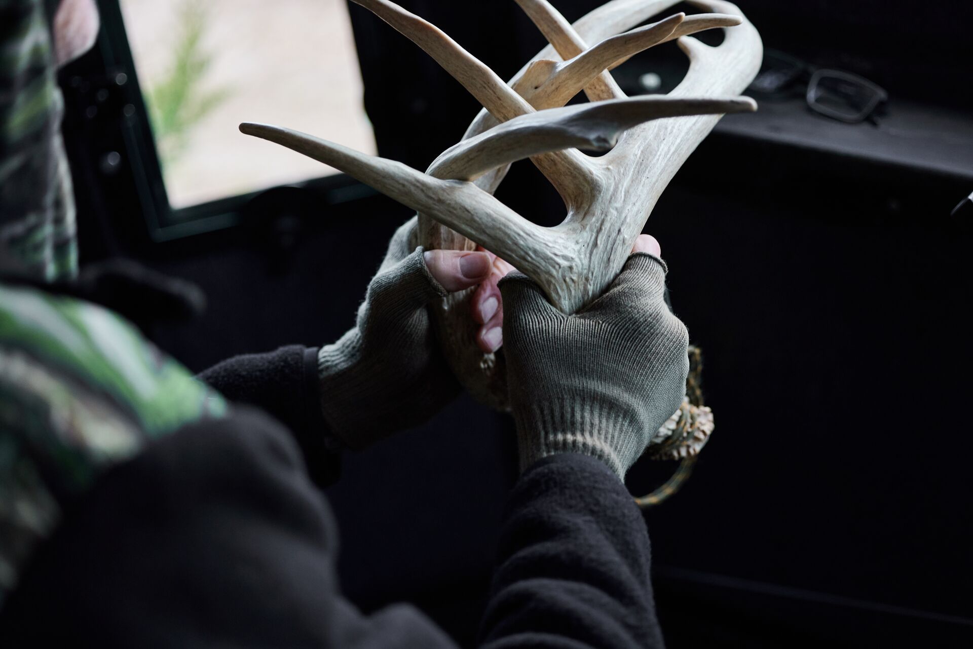 Hunter in hunting blind rattles antlers, calling in bucks during the rut concept.
