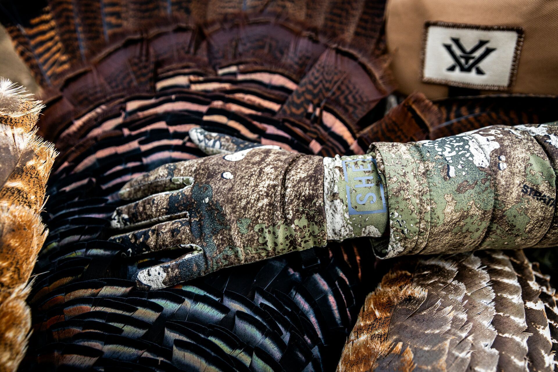 Close-up of turkey in hunter