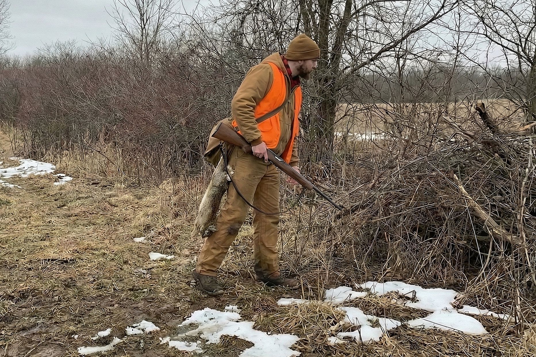 Hunter in orange vest with rifle looks for rabbits, rabbit hunting clothes concept.