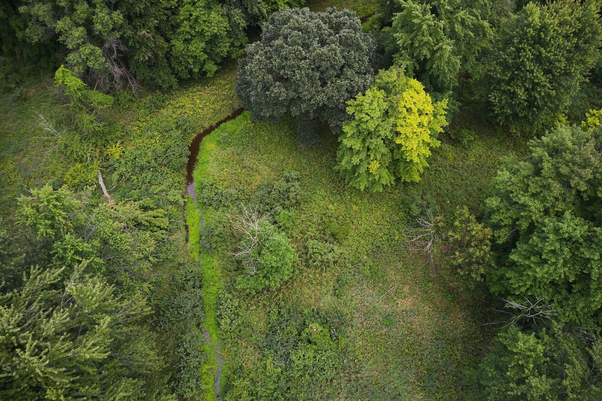 Aerial view of hunting land, deer season concept.